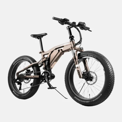Off-Road Fat Tire Beast