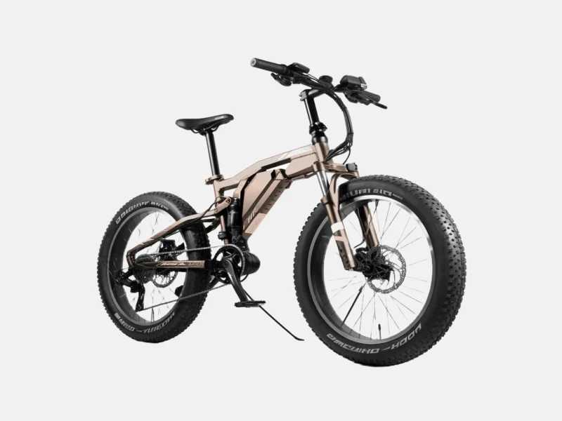 Off-Road Fat Tire Beast