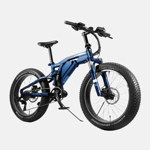 Off-Road Fat Tire Beast