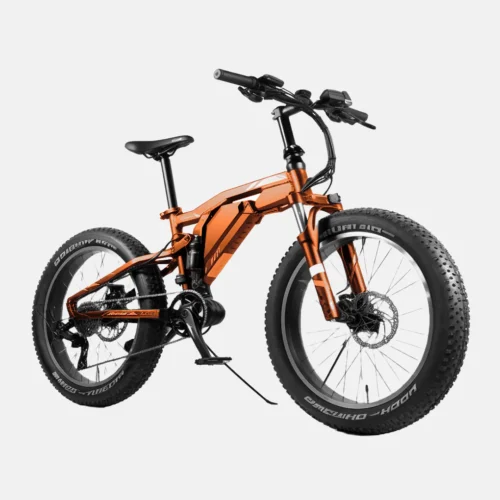 Off-Road Fat Tire Beast
